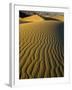 Ripples in Sand Dunes-Darrell Gulin-Framed Photographic Print