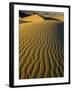 Ripples in Sand Dunes-Darrell Gulin-Framed Photographic Print