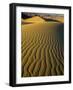 Ripples in Sand Dunes-Darrell Gulin-Framed Photographic Print