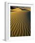 Ripples in Sand Dunes-Darrell Gulin-Framed Photographic Print