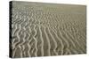 Ripples in sand, inter-tidal sands on coast, North Norfolk, England-Gary Smith-Stretched Canvas