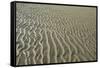 Ripples in sand, inter-tidal sands on coast, North Norfolk, England-Gary Smith-Framed Stretched Canvas