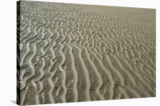 Ripples in sand, inter-tidal sands on coast, North Norfolk, England-Gary Smith-Stretched Canvas