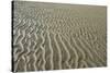 Ripples in sand, inter-tidal sands on coast, North Norfolk, England-Gary Smith-Stretched Canvas