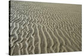 Ripples in sand, inter-tidal sands on coast, North Norfolk, England-Gary Smith-Stretched Canvas
