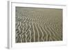 Ripples in sand, inter-tidal sands on coast, North Norfolk, England-Gary Smith-Framed Photographic Print