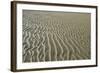 Ripples in sand, inter-tidal sands on coast, North Norfolk, England-Gary Smith-Framed Photographic Print