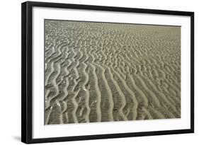 Ripples in sand, inter-tidal sands on coast, North Norfolk, England-Gary Smith-Framed Photographic Print