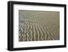 Ripples in sand, inter-tidal sands on coast, North Norfolk, England-Gary Smith-Framed Photographic Print