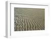 Ripples in sand, inter-tidal sands on coast, North Norfolk, England-Gary Smith-Framed Photographic Print