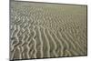 Ripples in sand, inter-tidal sands on coast, North Norfolk, England-Gary Smith-Mounted Photographic Print