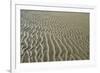 Ripples in sand, inter-tidal sands on coast, North Norfolk, England-Gary Smith-Framed Photographic Print