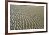 Ripples in sand, inter-tidal sands on coast, North Norfolk, England-Gary Smith-Framed Photographic Print