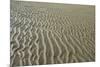 Ripples in sand, inter-tidal sands on coast, North Norfolk, England-Gary Smith-Mounted Photographic Print