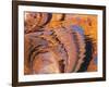 Ripples of Color I-Kathy Mahan-Framed Photographic Print