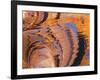 Ripples of Color I-Kathy Mahan-Framed Photographic Print