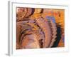 Ripples of Color I-Kathy Mahan-Framed Photographic Print