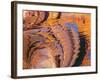 Ripples of Color I-Kathy Mahan-Framed Photographic Print