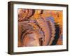 Ripples of Color I-Kathy Mahan-Framed Photographic Print