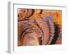 Ripples of Color I-Kathy Mahan-Framed Photographic Print