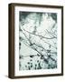 Ripples of the Rain I-Amy Melious-Framed Art Print