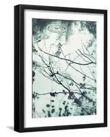 Ripples of the Rain I-Amy Melious-Framed Art Print