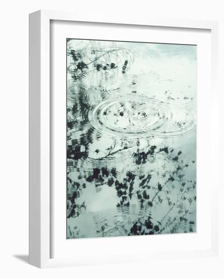 Ripples of the Rain II-Amy Melious-Framed Art Print