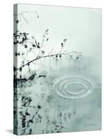 Ripples of the Rain III-Amy Melious-Stretched Canvas