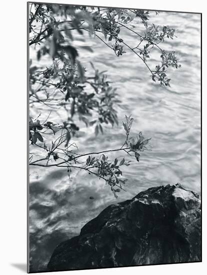 Ripples-Andrew Geiger-Mounted Giclee Print