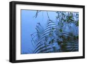 Ripples-Anthony Paladino-Framed Giclee Print