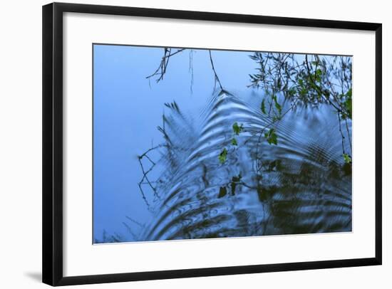 Ripples-Anthony Paladino-Framed Giclee Print