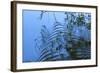 Ripples-Anthony Paladino-Framed Giclee Print