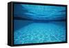 Rippling Water in Swimming Pool-Rick Doyle-Framed Stretched Canvas