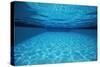 Rippling Water in Swimming Pool-Rick Doyle-Stretched Canvas
