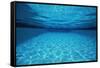 Rippling Water in Swimming Pool-Rick Doyle-Framed Stretched Canvas