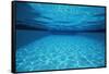Rippling Water in Swimming Pool-Rick Doyle-Framed Stretched Canvas