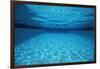 Rippling Water in Swimming Pool-Rick Doyle-Framed Photographic Print