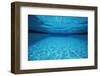 Rippling Water in Swimming Pool-Rick Doyle-Framed Photographic Print