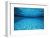 Rippling Water in Swimming Pool-Rick Doyle-Framed Photographic Print