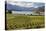 Rippon Vineyard on Lake Wanaka, Wanaka, Otago, South Island, New Zealand, Pacific-Stuart Black-Stretched Canvas