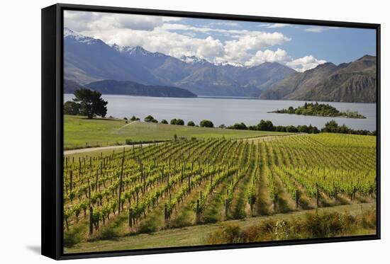 Rippon Vineyard on Lake Wanaka, Wanaka, Otago, South Island, New Zealand, Pacific-Stuart Black-Framed Stretched Canvas