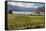 Rippon Vineyard on Lake Wanaka, Wanaka, Otago, South Island, New Zealand, Pacific-Stuart Black-Framed Stretched Canvas