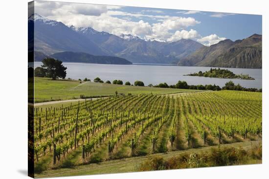 Rippon Vineyard on Lake Wanaka, Wanaka, Otago, South Island, New Zealand, Pacific-Stuart Black-Stretched Canvas