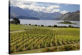 Rippon Vineyard on Lake Wanaka, Wanaka, Otago, South Island, New Zealand, Pacific-Stuart Black-Stretched Canvas