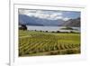 Rippon Vineyard on Lake Wanaka, Wanaka, Otago, South Island, New Zealand, Pacific-Stuart Black-Framed Photographic Print