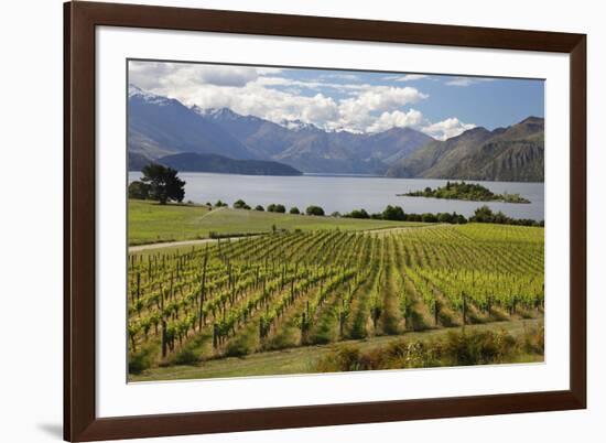 Rippon Vineyard on Lake Wanaka, Wanaka, Otago, South Island, New Zealand, Pacific-Stuart Black-Framed Photographic Print