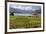 Rippon Vineyard on Lake Wanaka, Wanaka, Otago, South Island, New Zealand, Pacific-Stuart Black-Framed Photographic Print