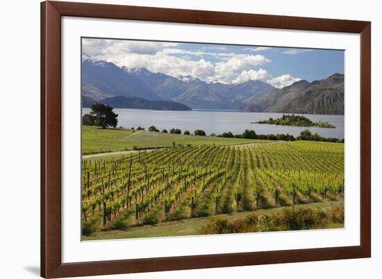 Rippon Vineyard on Lake Wanaka, Wanaka, Otago, South Island, New Zealand, Pacific-Stuart Black-Framed Photographic Print