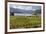 Rippon Vineyard on Lake Wanaka, Wanaka, Otago, South Island, New Zealand, Pacific-Stuart Black-Framed Photographic Print