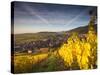 Riquewihr, Alsatian Wine Route, Alsace Region, Haut-Rhin, France-Walter Bibikow-Stretched Canvas